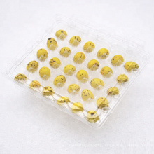 High Quality Clear Plastic Quail Egg Tray Packaging Carton Box with 30 Holes